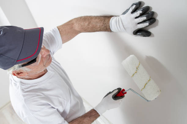 Dehumidification Services in Brusly, LA