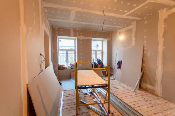 Best Post-Construction Mold Inspection  in Brusly, LA